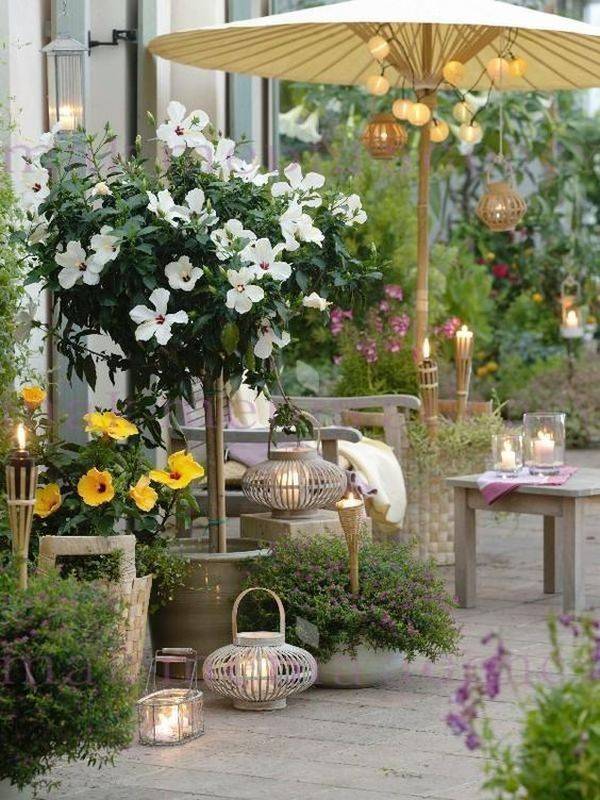 Spectacular Flower Arrangements