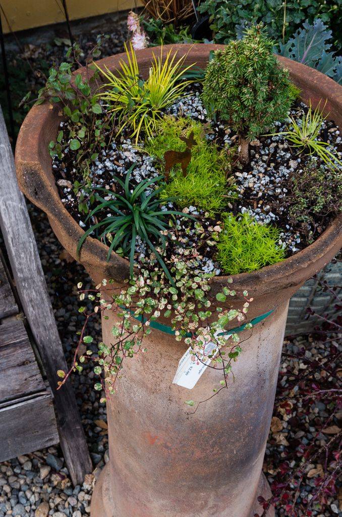 Sunny Patio Patio Ideas