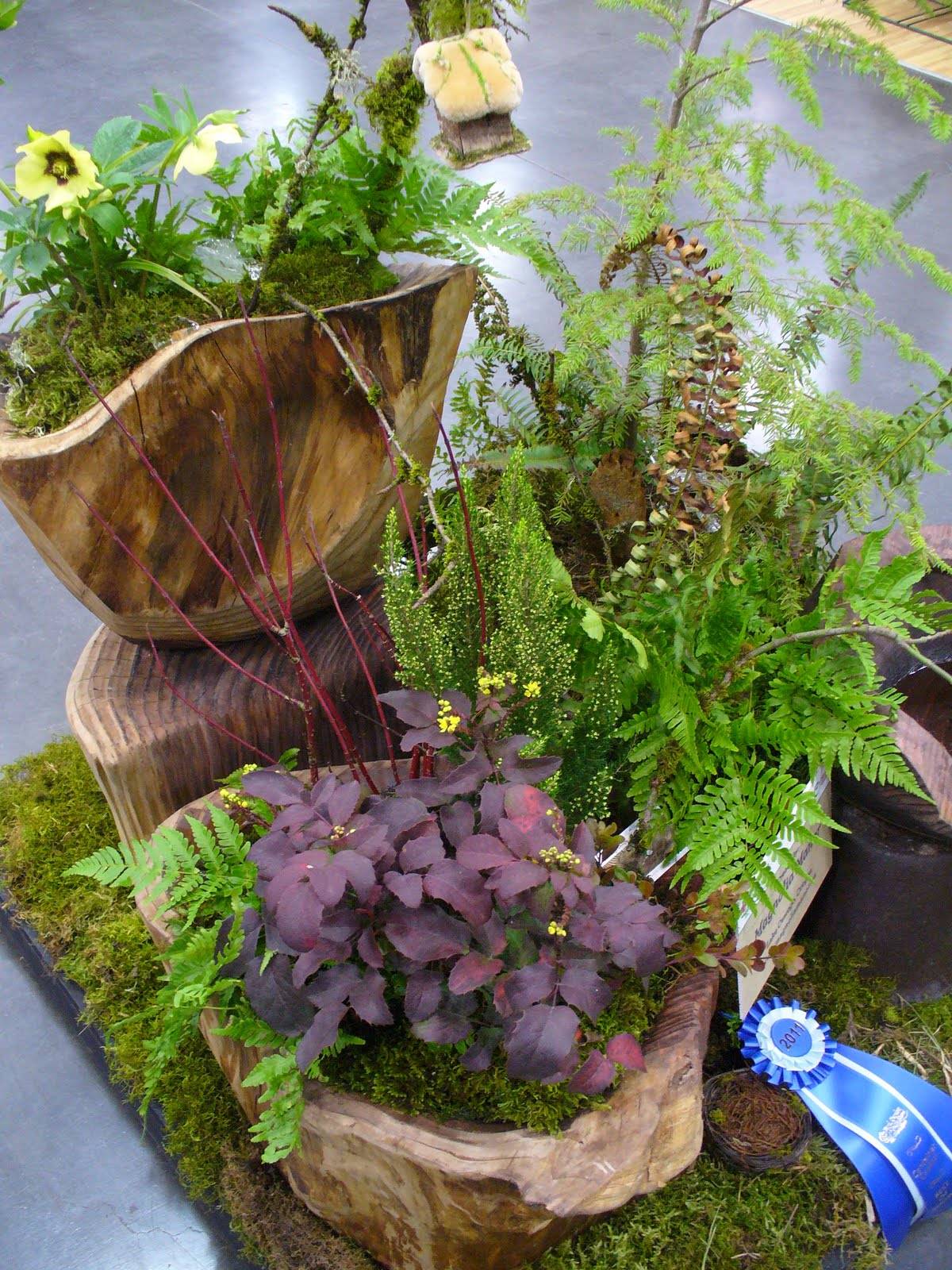 Gorgeous Container Garden Planting Lists A