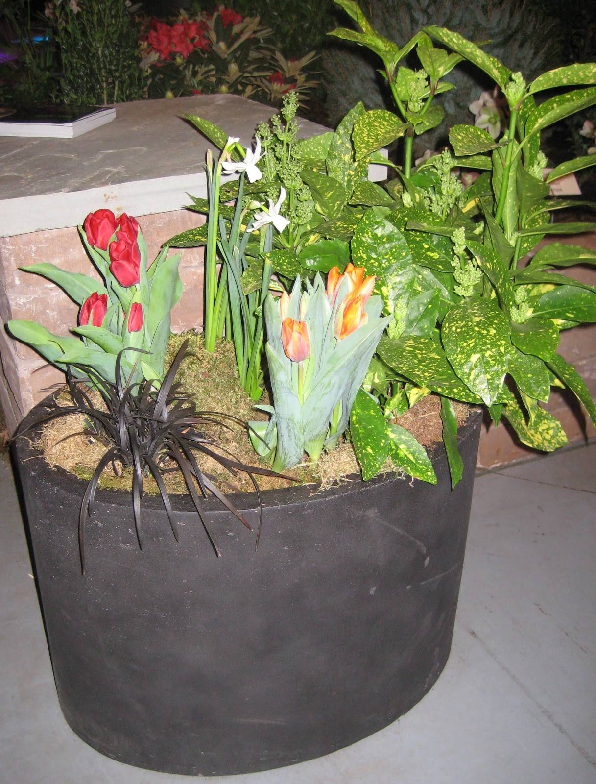 Container Gardens