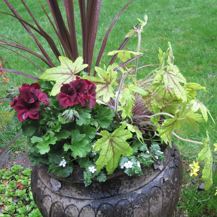 Oregon Container Gardening