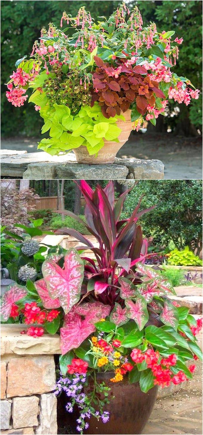Eye Catching Patio Containers