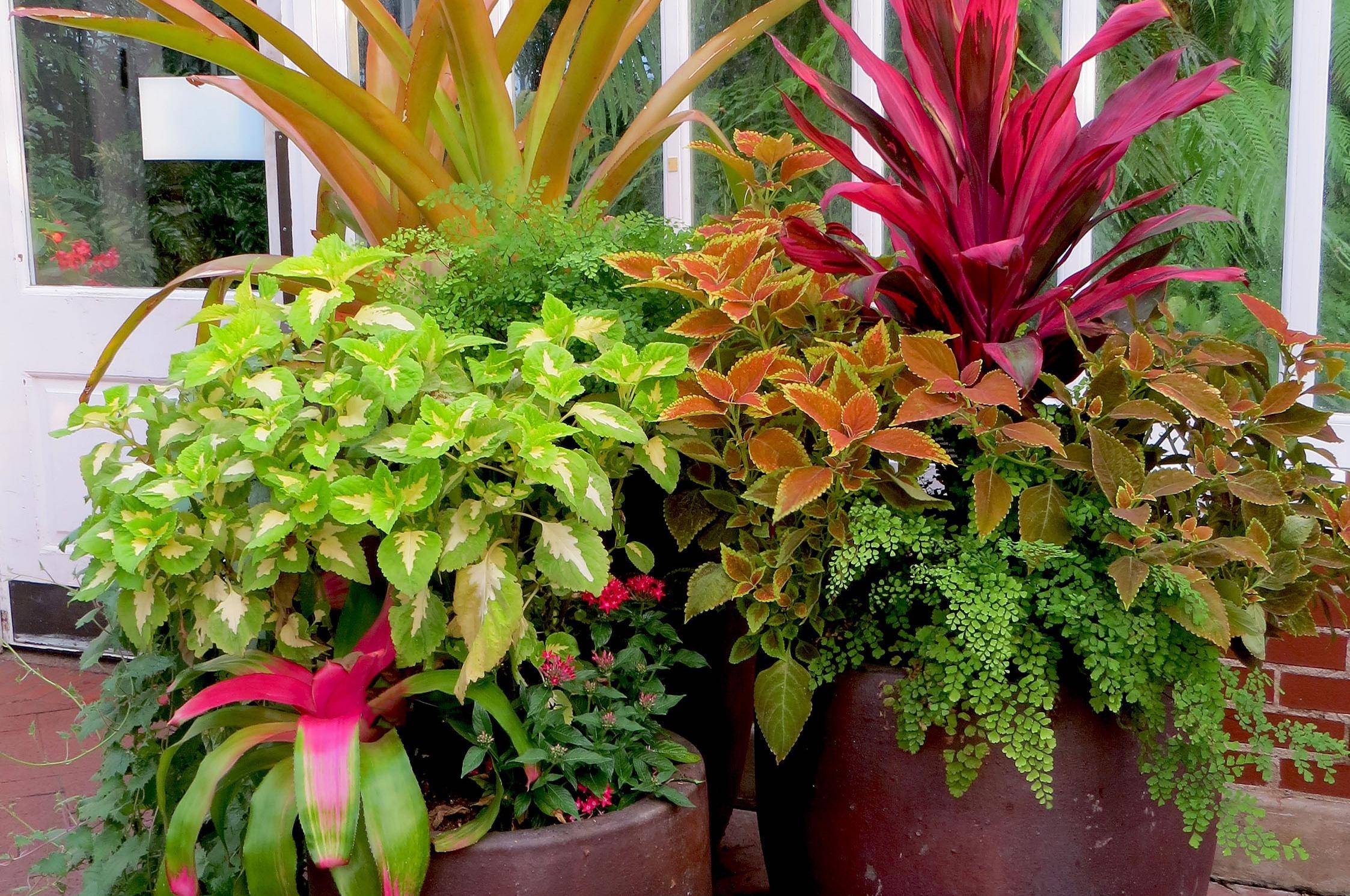 Container Garden Recipe Container Gardening