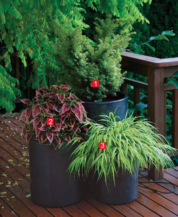 Gardening Container Gardening