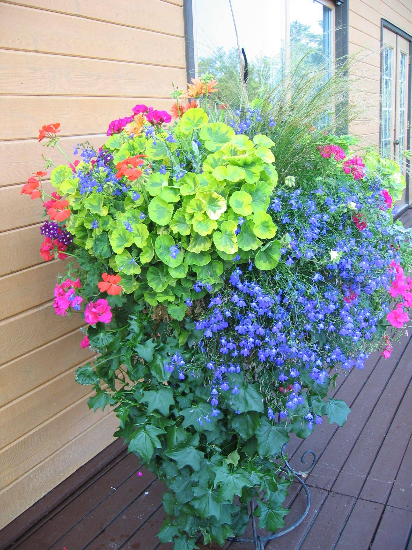Large Container Gardening Ideas