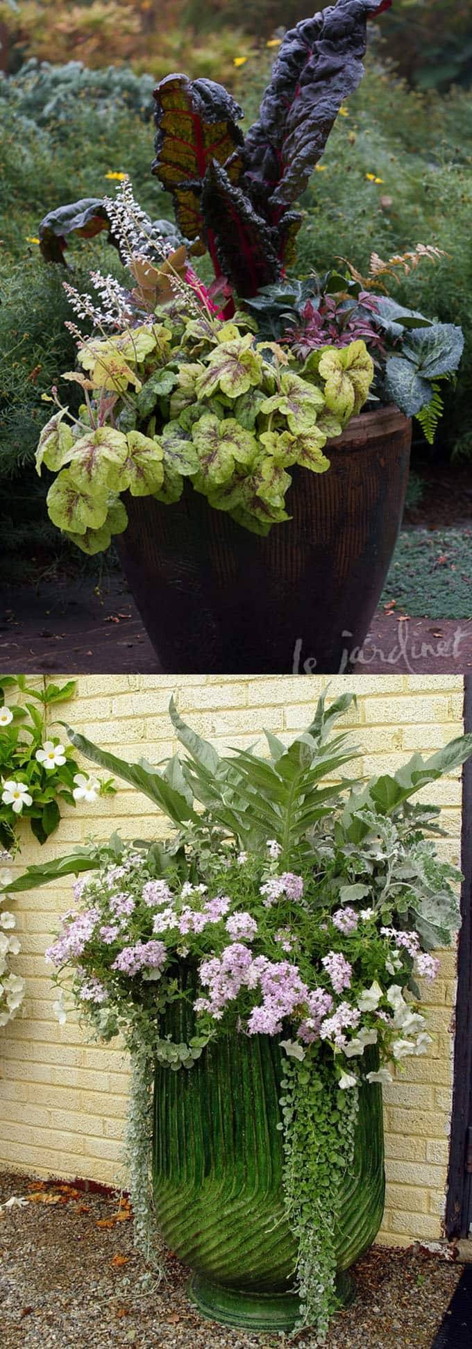 Flowering Container Gardens