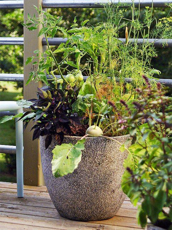 Adorable Diy Container Herb Garden Design Ideas Freshhome