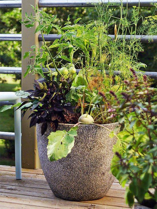 A Tiered Container Garden Southern Patio