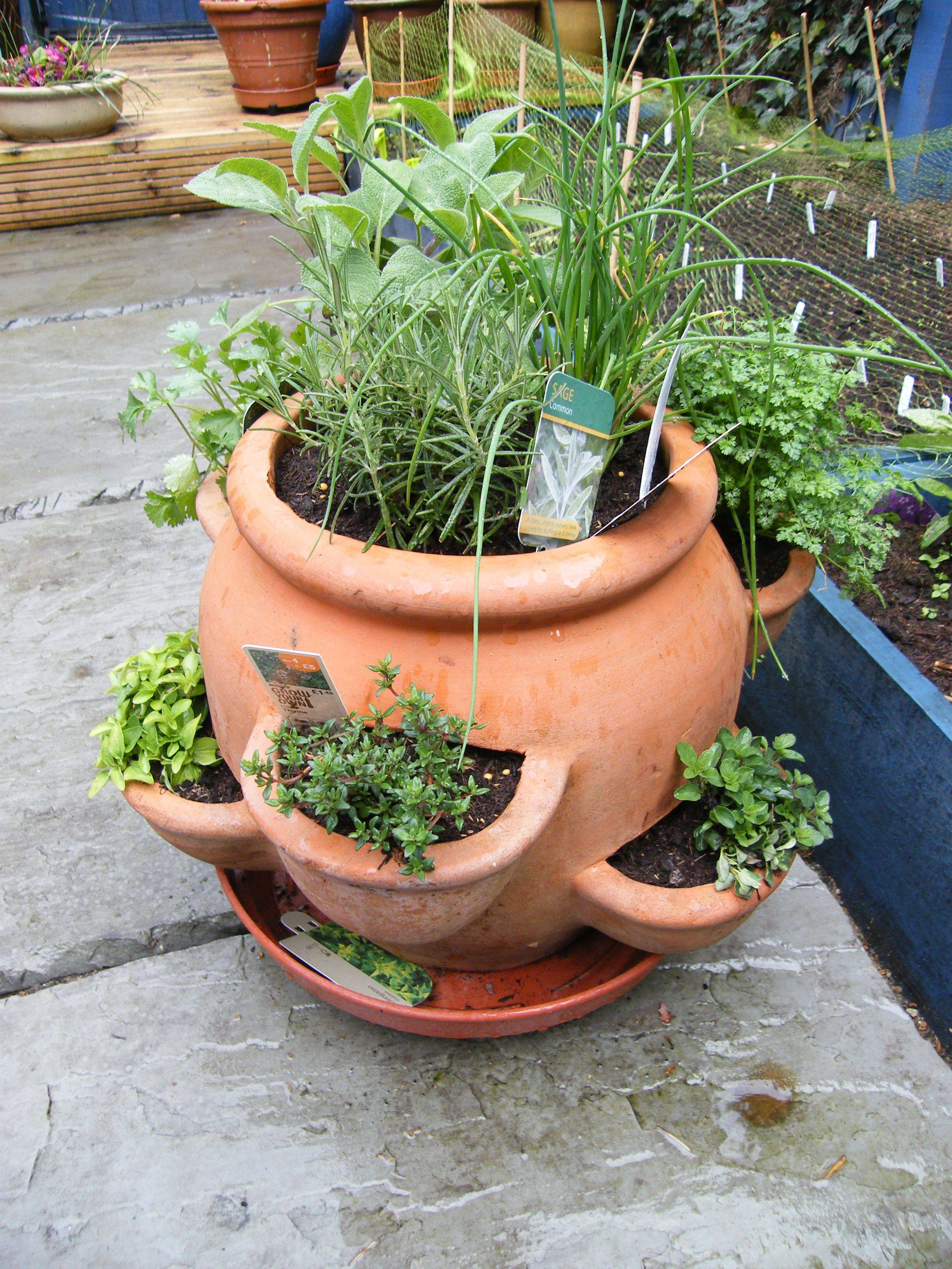 Container Herb Gardening Container Gardening
