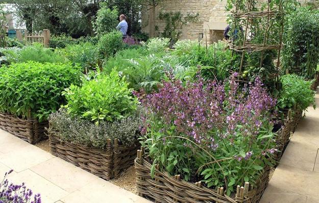 A Herb Garden
