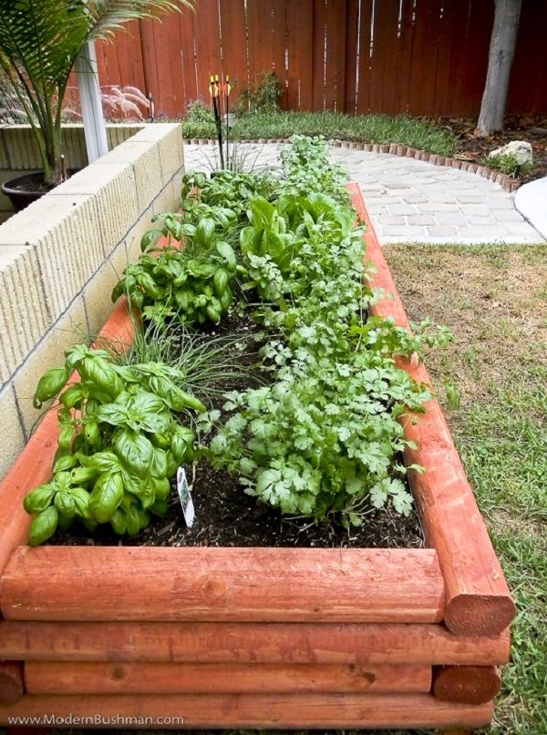 The Top Herb Garden Ideas Landscaping And Gardening Ideas