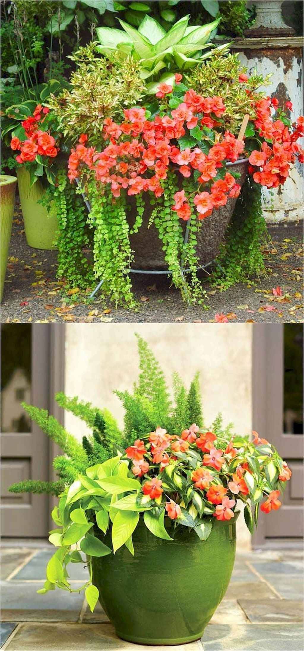 Best And Wonderful Colorful Shade Garden Pots Ideas