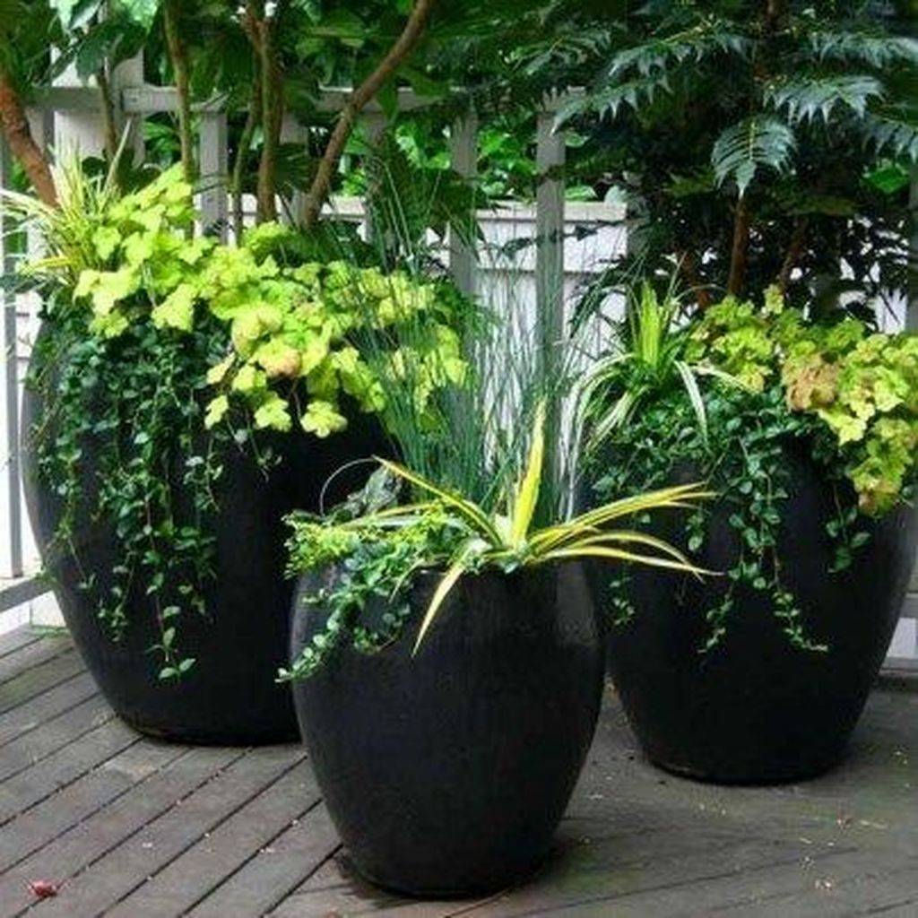 Fresh And Easy Summer Container Garden Flowers Ideas Container