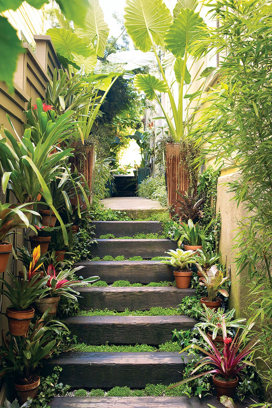 Perfect Tropical Garden Ideas