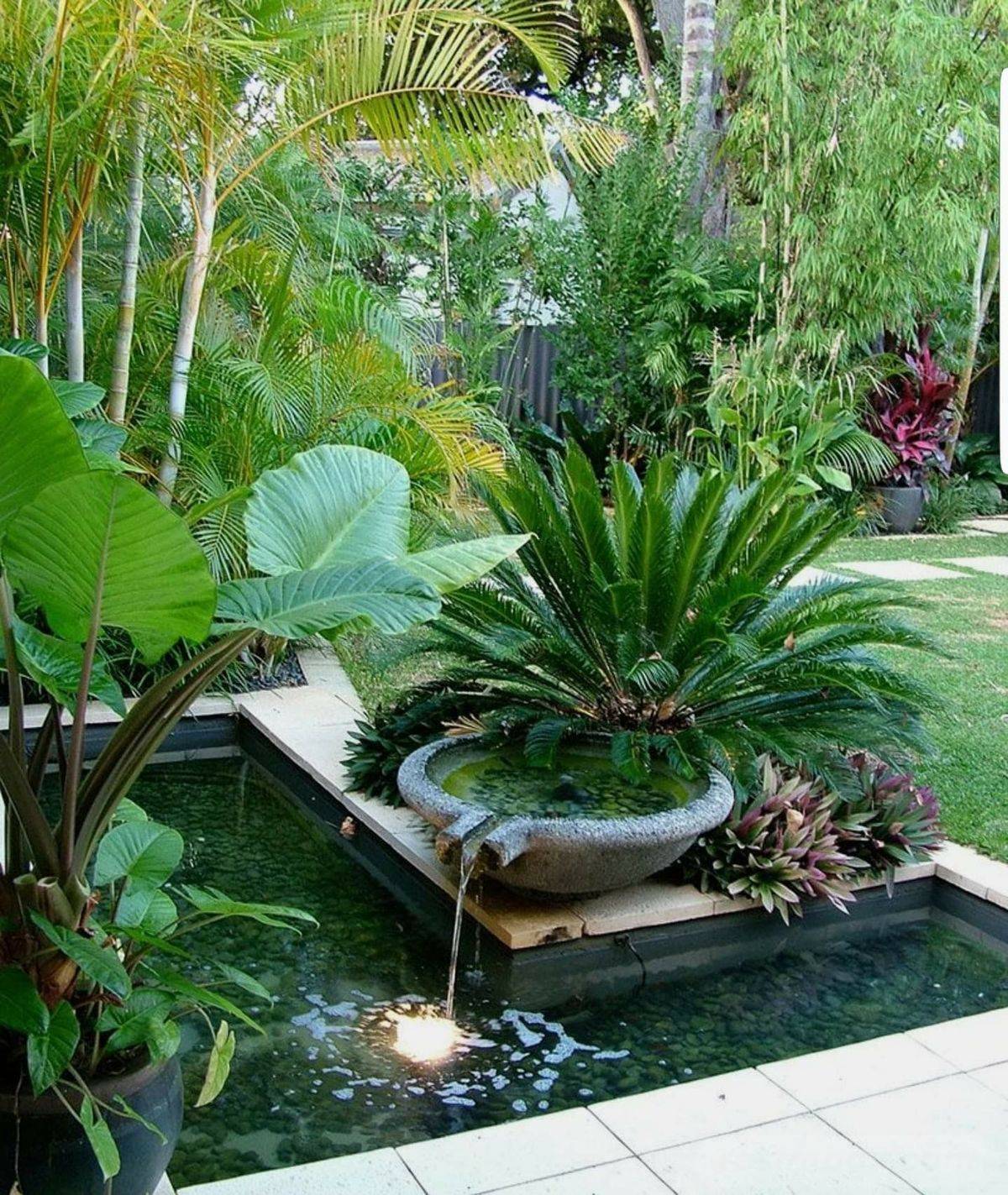 A Tropicalthemed Garden