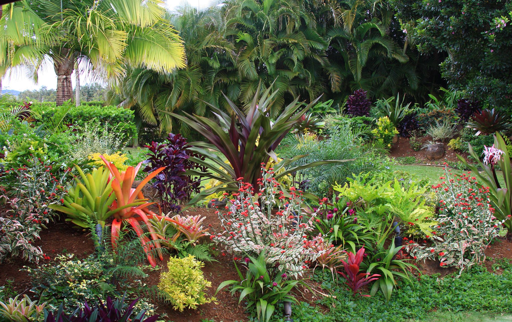 Amazing Tropical Outdoor Decorations