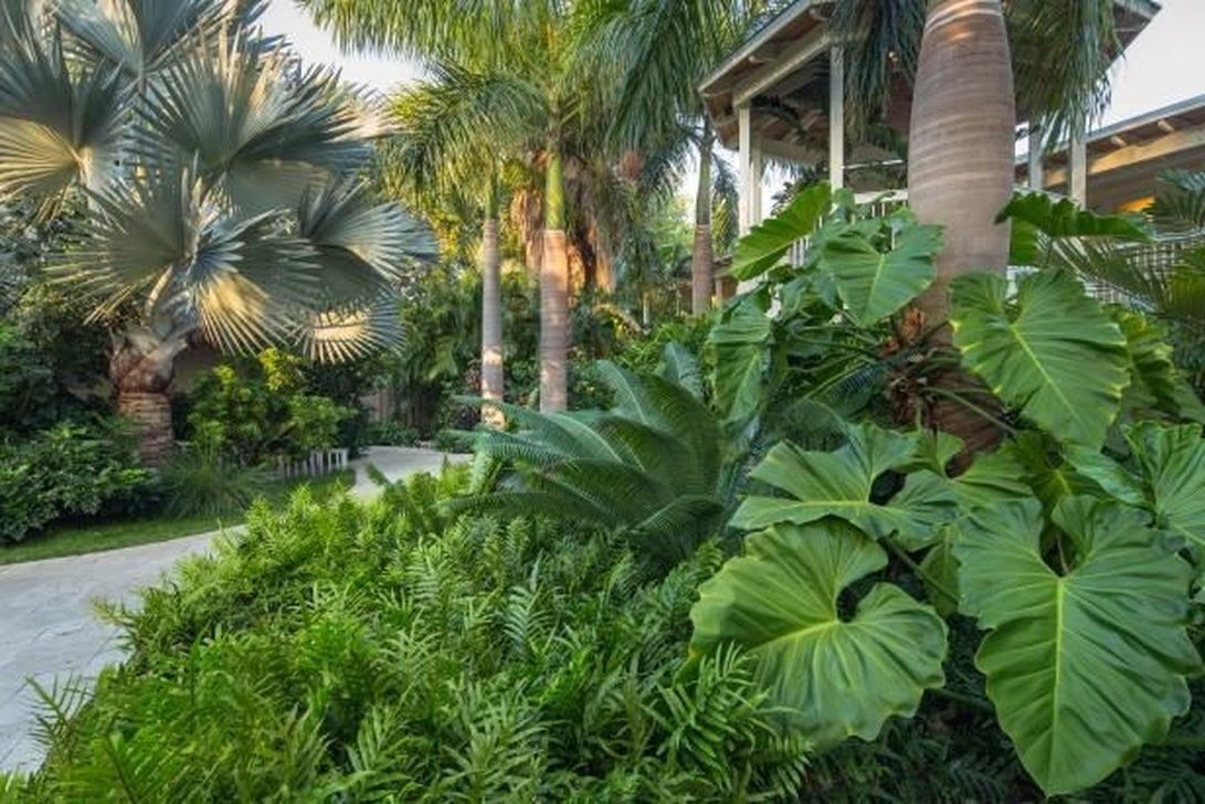 Tropical Flower Garden Design Ideas