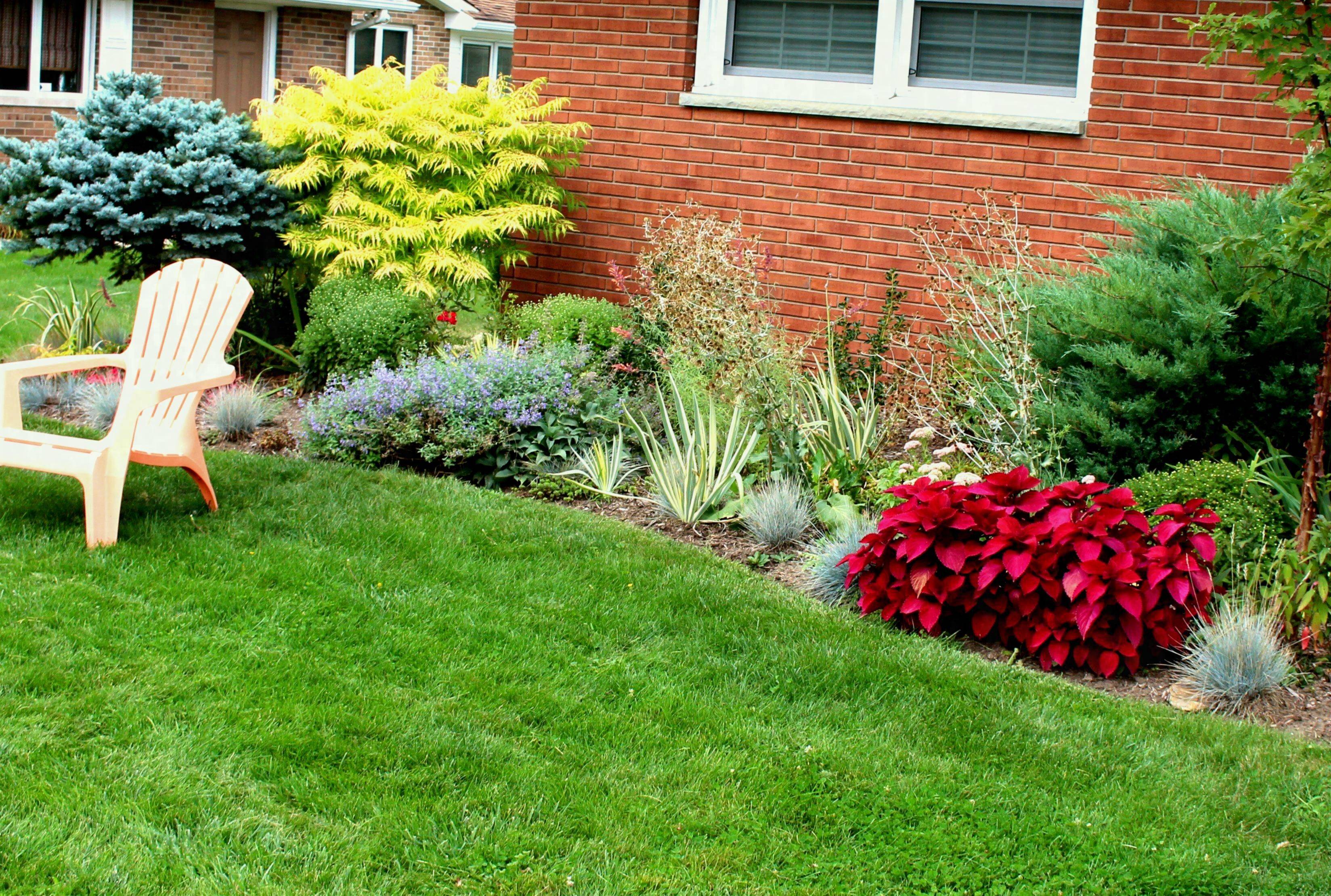 Full Sun Foundation Front Yard