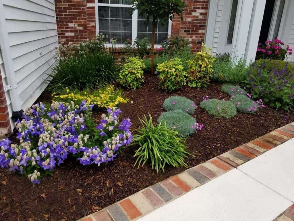 Front Entry Flower Bed Unique