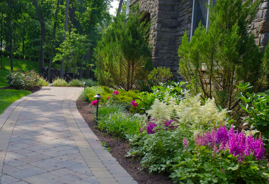 Small Evergreen Perennials Uk Garden Design Ideas