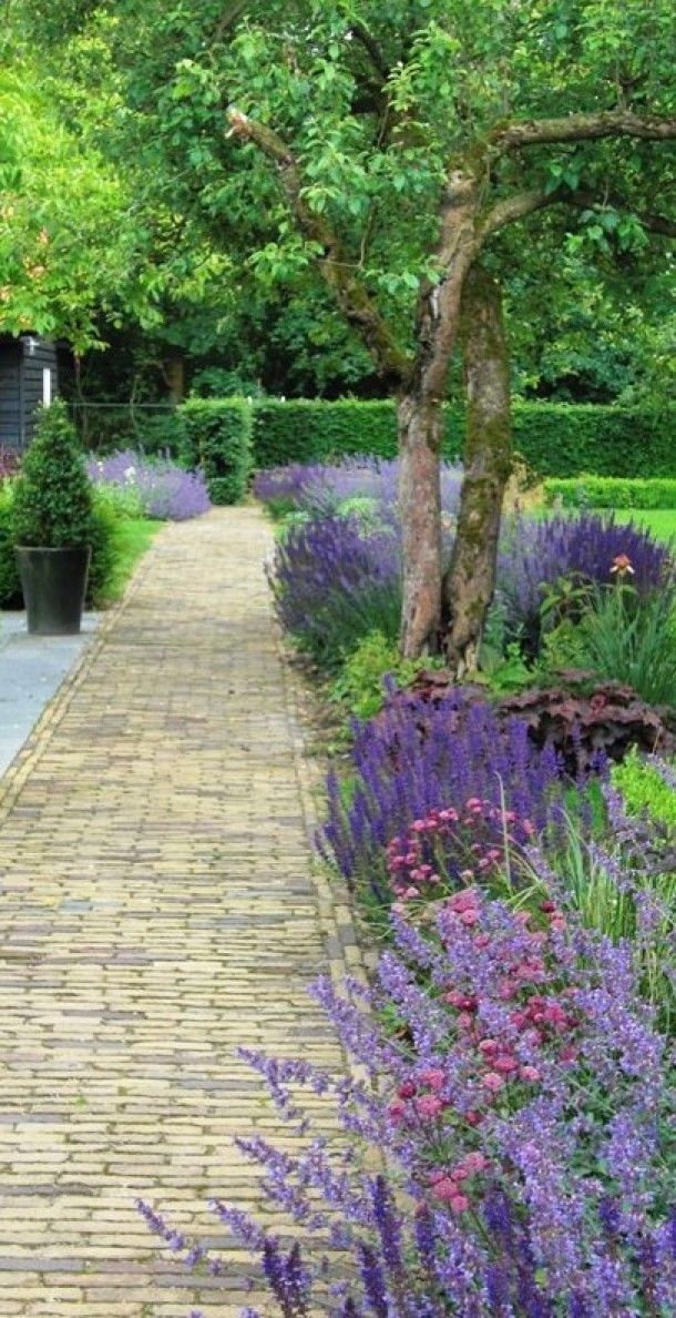 Best Garden Border Ideas Images