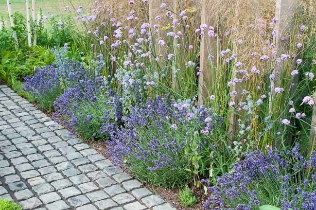 Color Palette Pink Garden