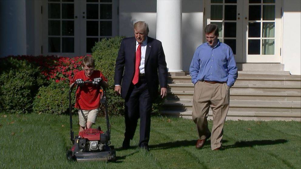 Rose Garden Renewal Project Abc News