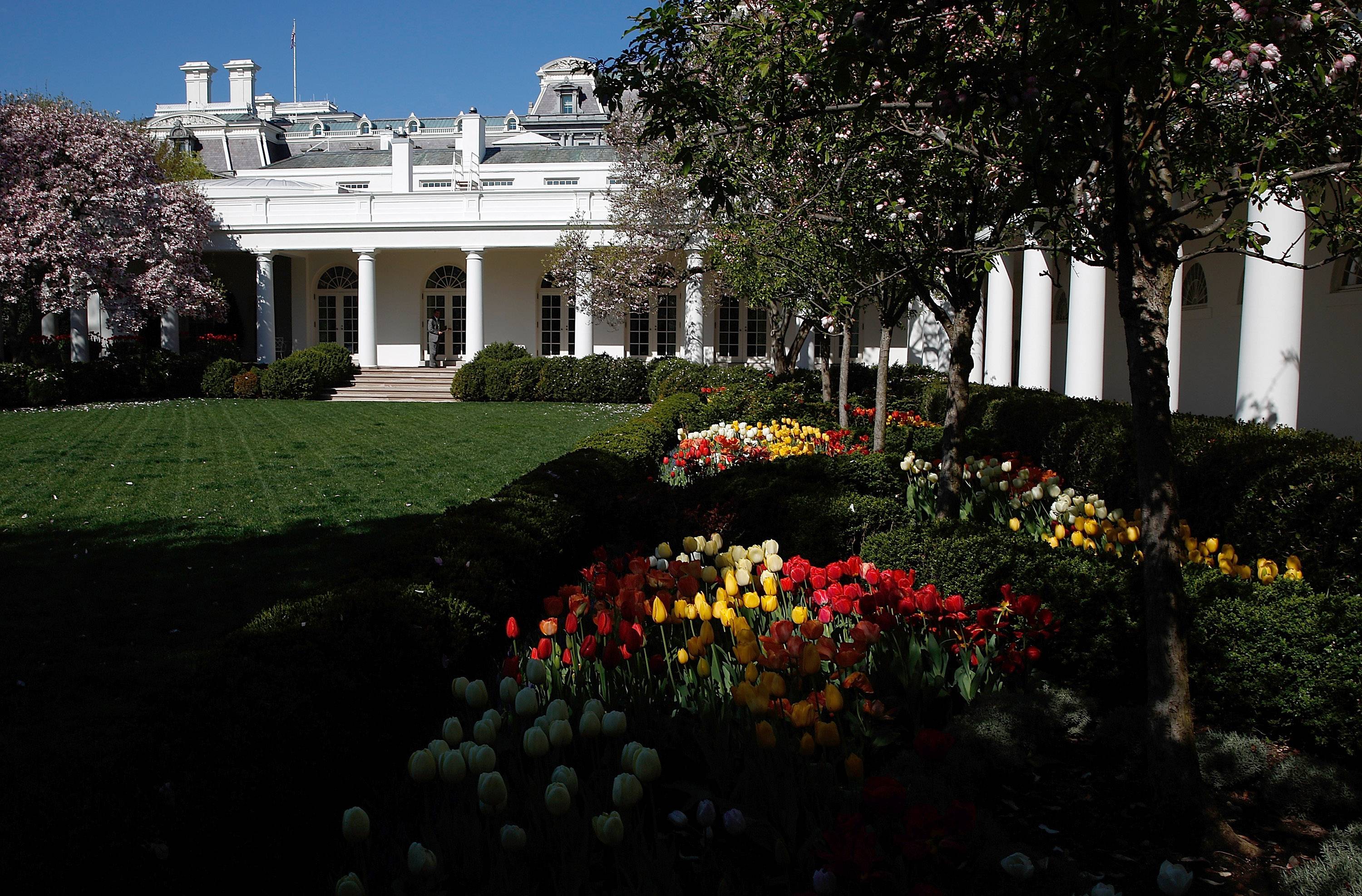 President Trump