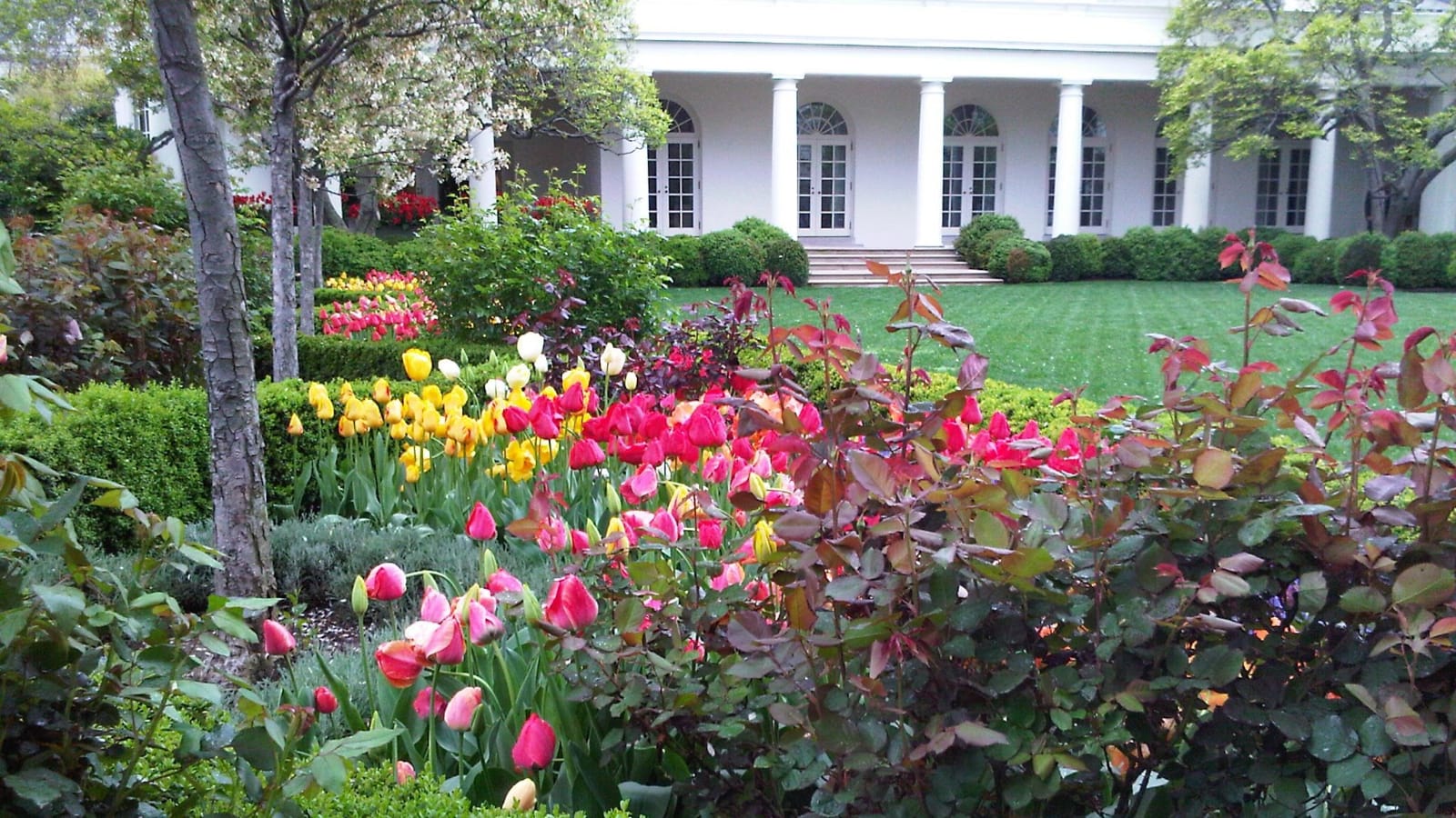 Trumps Rose Garden Appearnace