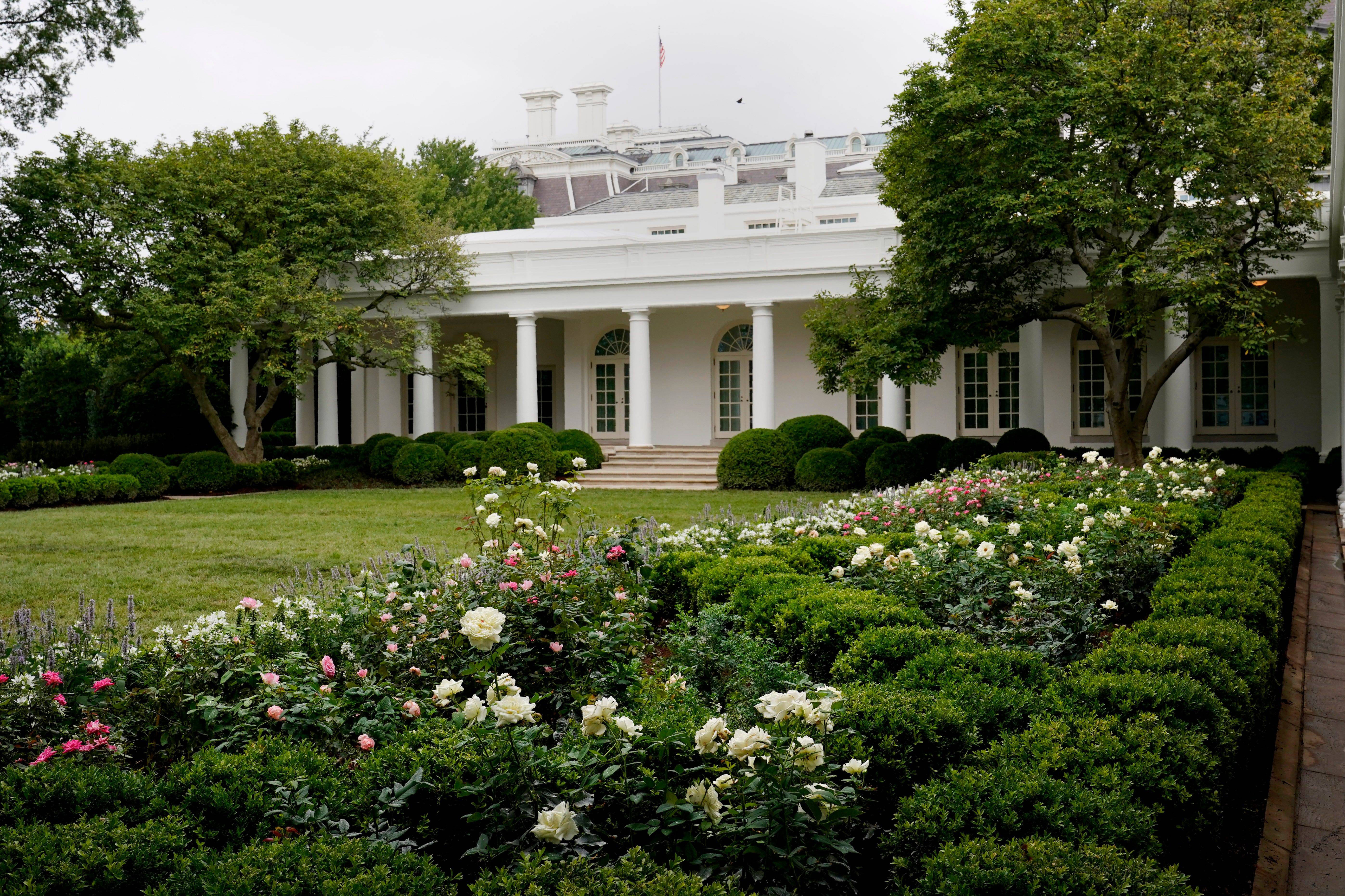 Melania Rose Garden