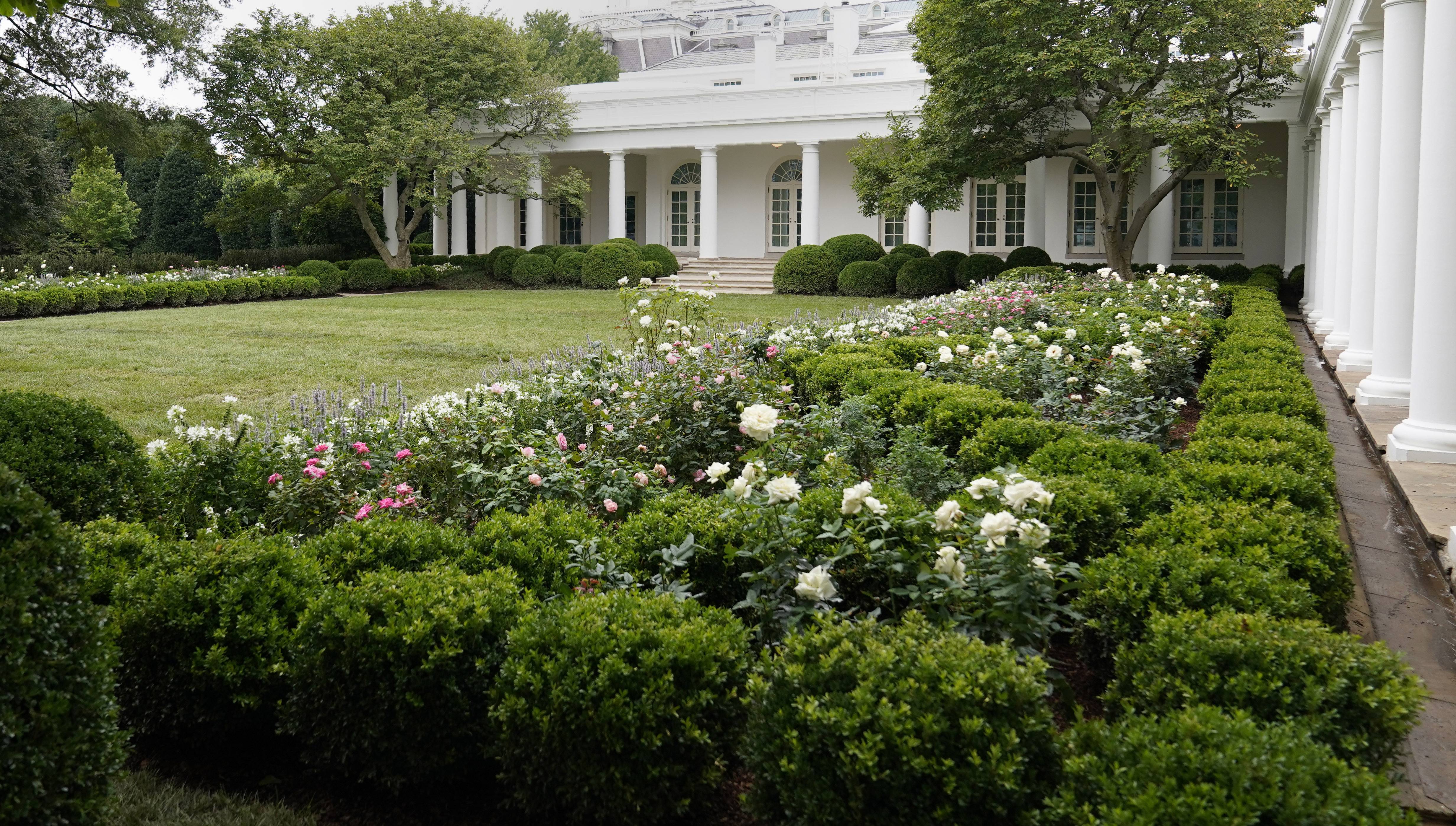 Melania Trumps New White House Rose Garden