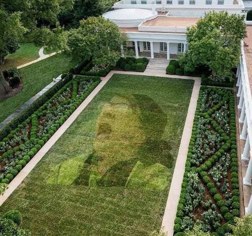 Melania Trumps New White House Rose Garden