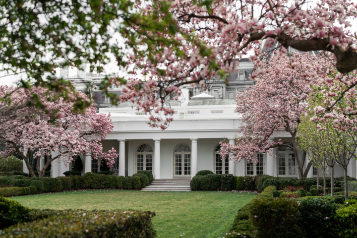 Melanias Rose Garden Thepubliceditorcom