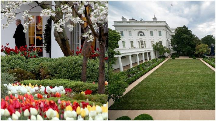 Trump Rose Garden Speech