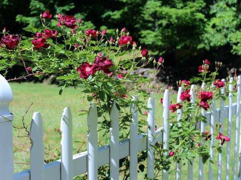 Beautiful Small Front Yard Landscaping Ideas Flower Landscape