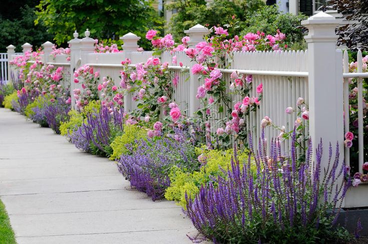 White House Rose Garden Garden Design Ideas