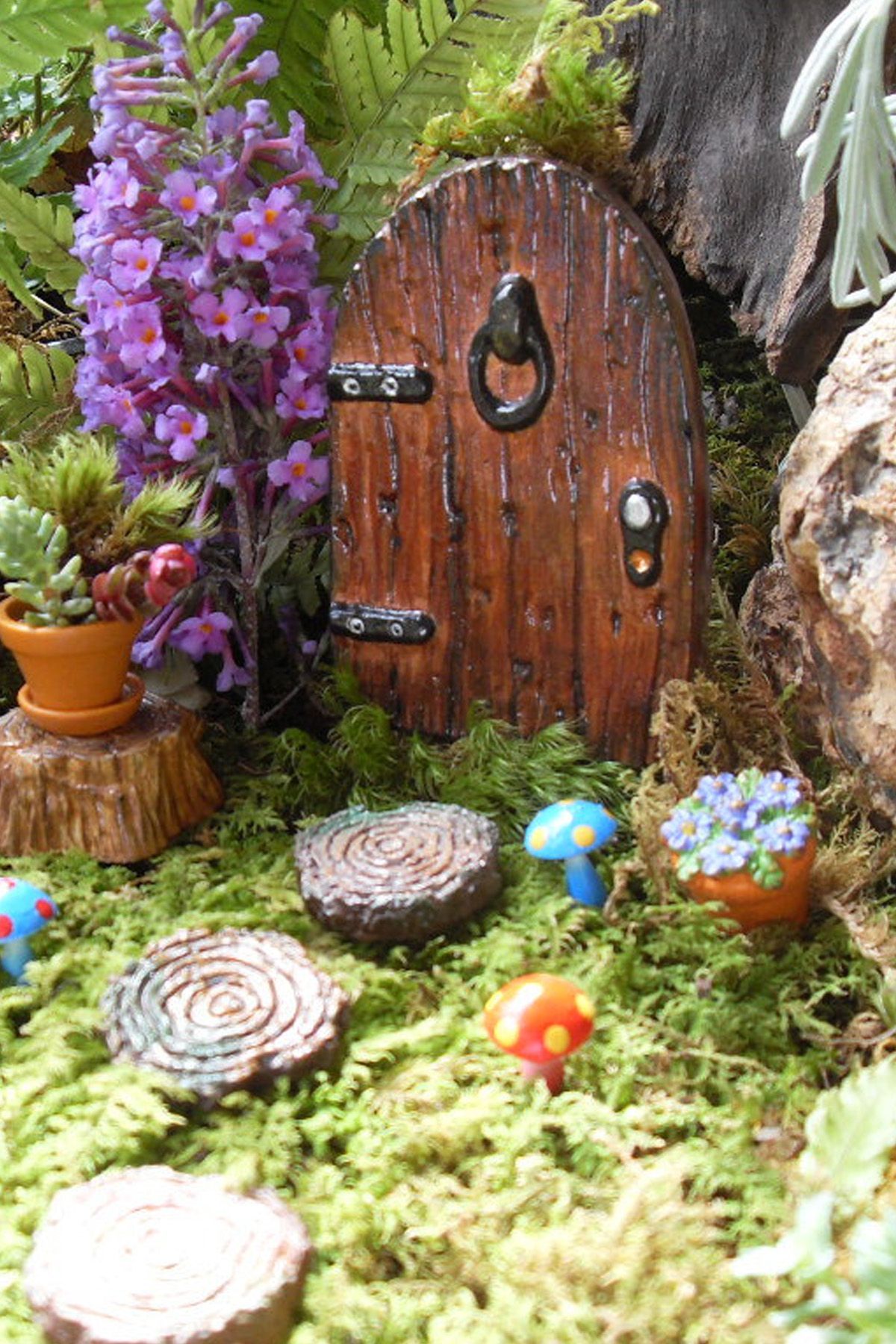 A Fairy Garden Fairy Garden