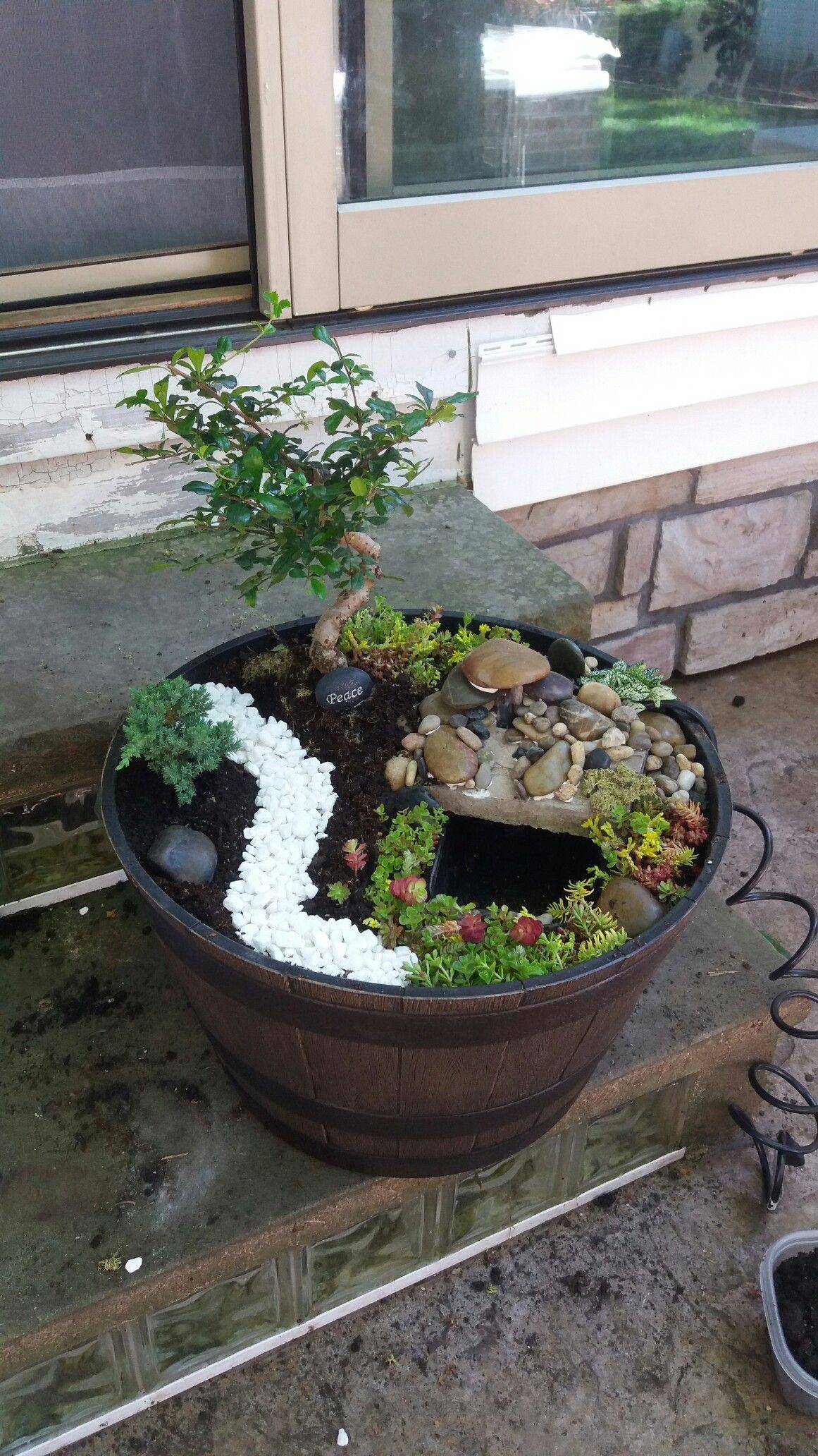 22 Bonsai Fairy Garden Ideas For This Year SharonSable