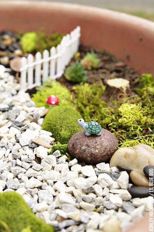 22 Bonsai Fairy Garden Ideas For This Year SharonSable