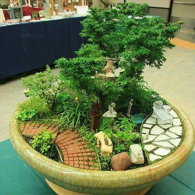 22 Bonsai Fairy Garden Ideas For This Year SharonSable