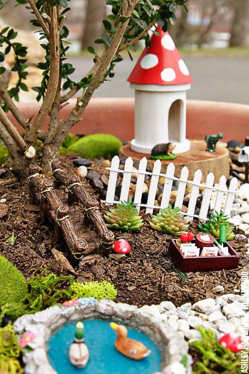 22 Bonsai Fairy Garden Ideas For This Year SharonSable