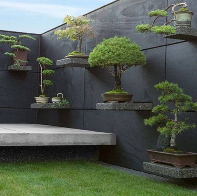 22 Bonsai Fairy Garden Ideas For This Year SharonSable