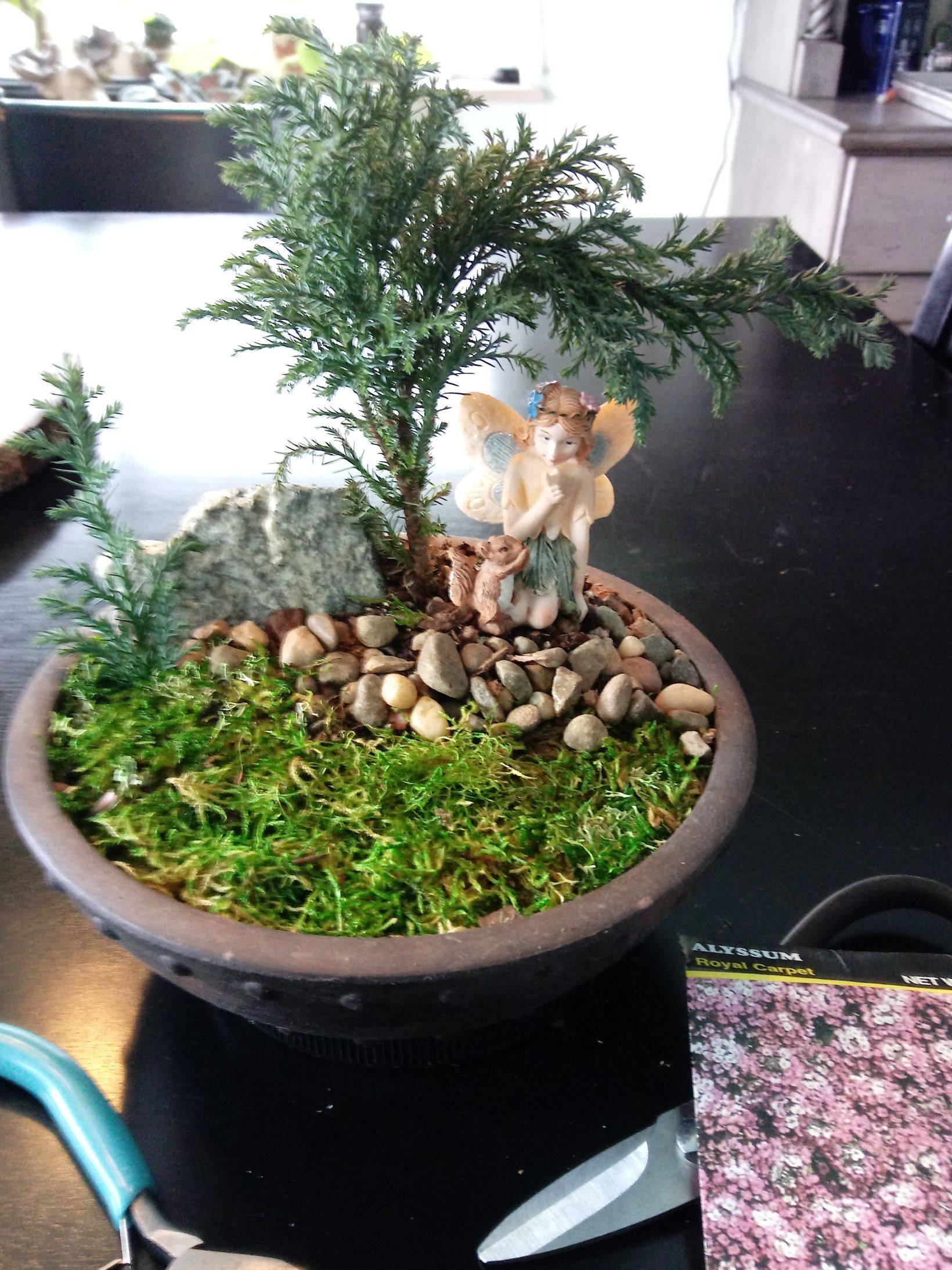 Bonsai And Little Bridge Fairy Garden