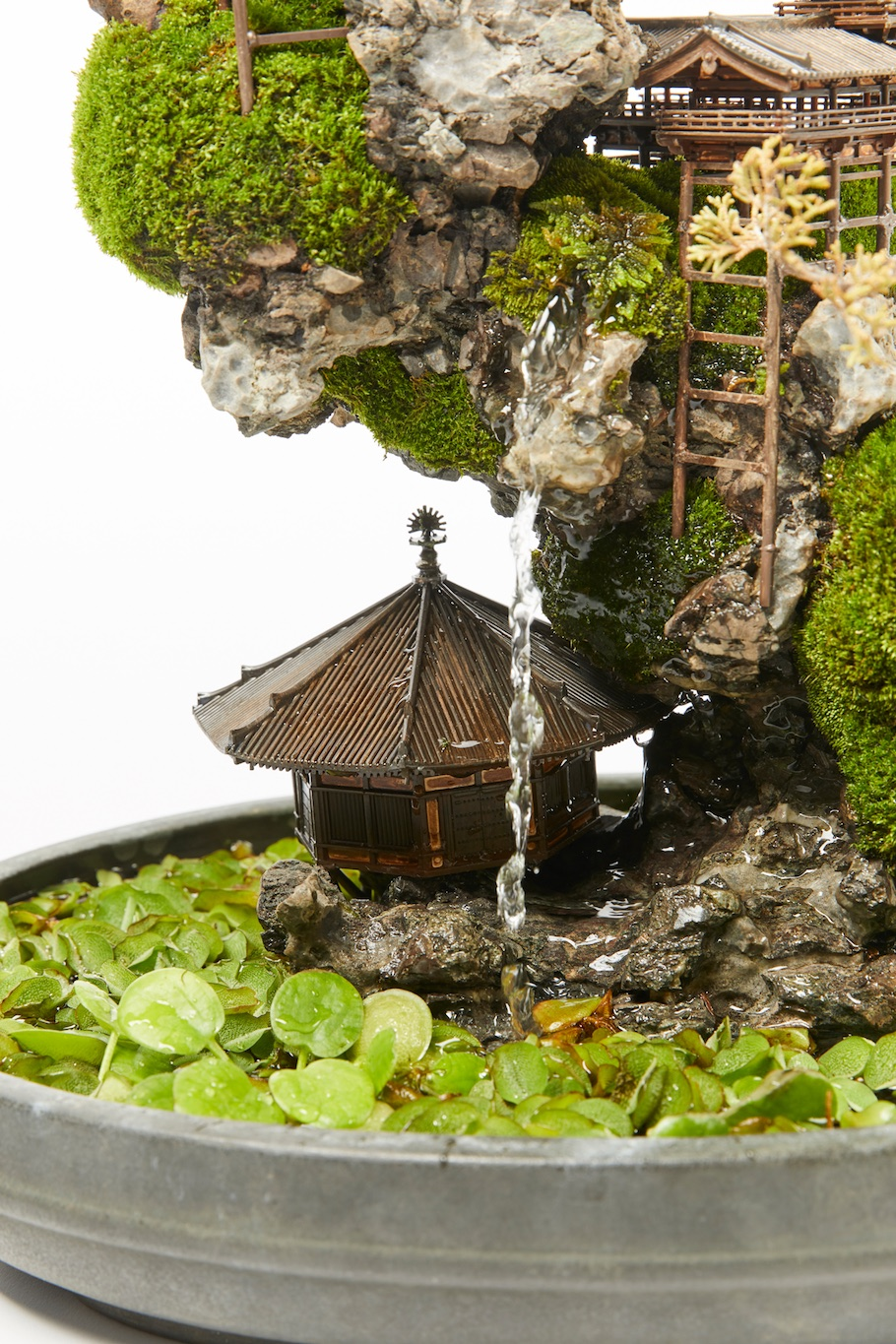 22 Bonsai Fairy Garden Ideas For This Year SharonSable