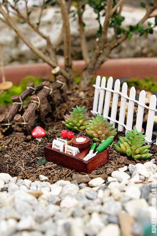 Fairy Garden