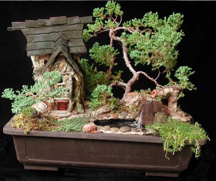 22 Bonsai Fairy Garden Ideas For This Year SharonSable