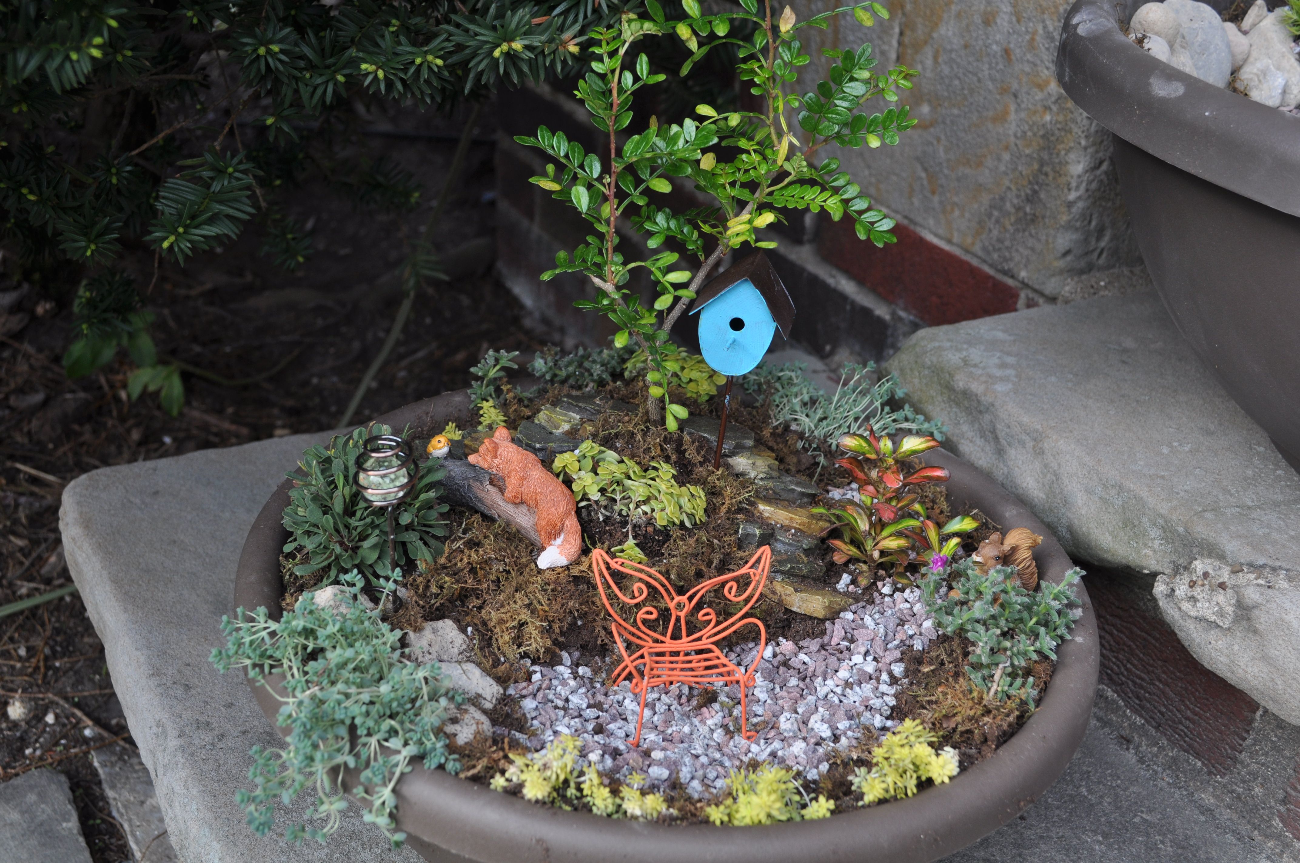 Fairy Gardens