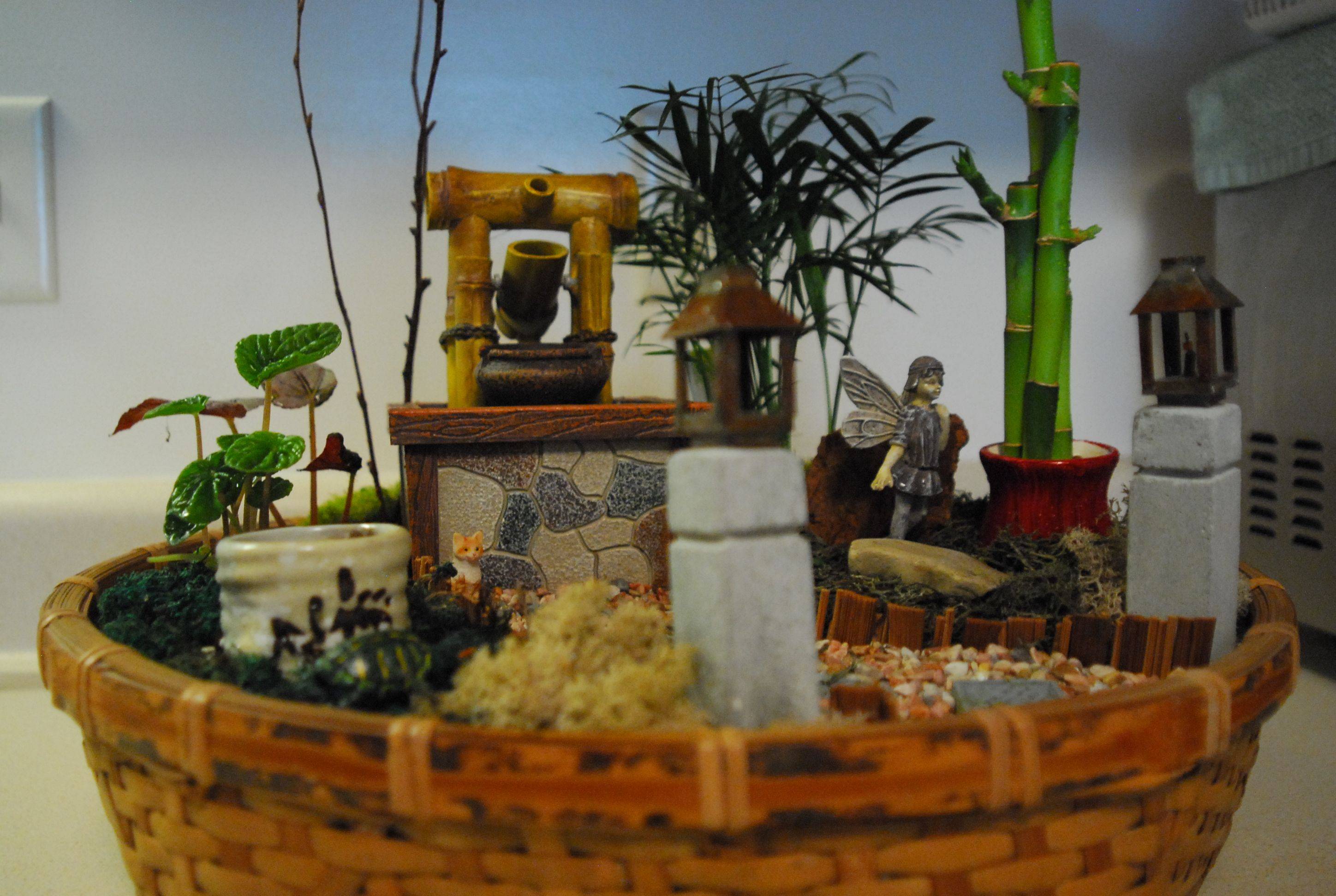 Beautiful Indoor Garden Ideas