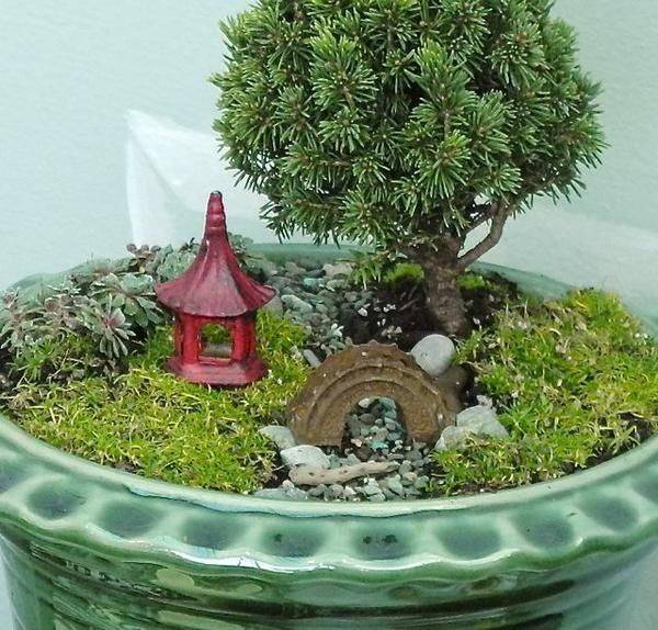 Asianthemed Fairy Garden