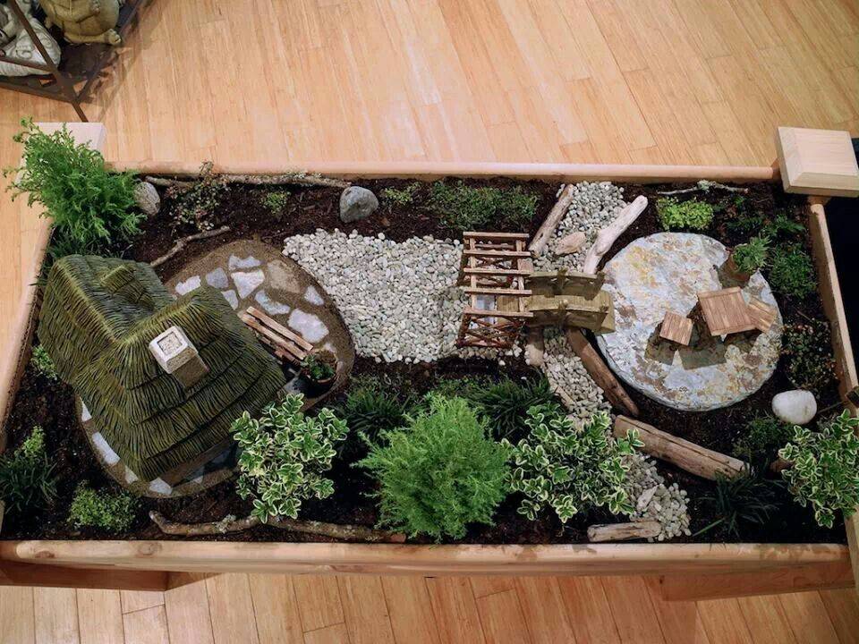 Indoor Fairy Gardens
